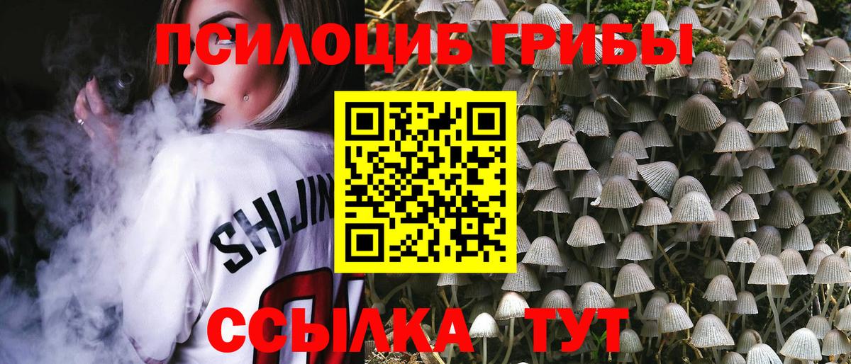 Галлюциногенные грибы MAGIC MUSHROOMS Новодвинск